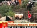 VIDEO: Momen Penyelamatan Gadis dari Kandang Panda di China