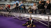 Acara yang digelar di Madison Square Garden ini menarik perhatian dari 50 negara bagian AS dan 14 negara lainnya, termasuk Rusia, Meksiko, Brasil, Kanada, dan Jepang. (REUTERS/Andrew Kelly)