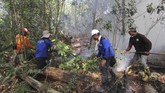 Petugas Manggala Agni memadamkan sisa api yang membakar semak belukar dan pepohonan akasia di kawasan hutan konservasi, Medang Kampai, Dumai, Riau, 3 Februari 2019. (ANTARA FOTO/Aswaddy Hamid)