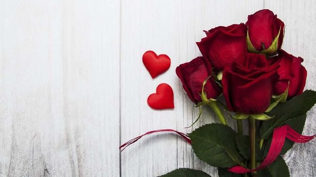 Melacak Asal usul Mawar  Merah Jadi Tanda Cinta saat Valentine