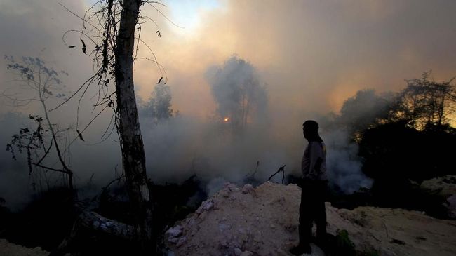 Angin Kencang Memperluas Kebakaran Hutan Riau