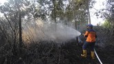 Petugas penanggulangan bencana (BPBD) memadamkan api yang membakar lahan gambut dekat permukiman warga di Kecamatan Dumai Barat Kota Dumai, Dumai, Riau, 8 Februari 2019. Kebakaran lahan yang terjadi di Kota Dumai saat ini mulai mendekati kawasan permukiman warga di bagian barat kota itu. (ANTARA FOTO/Aswaddy Hamid)