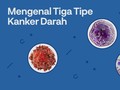 INFOGRAFIS: Membedakan Tiga Tipe Kanker Darah