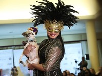 Lucunya Gaya Anjing-Anjing Ini di New York Pet Fashion Week!