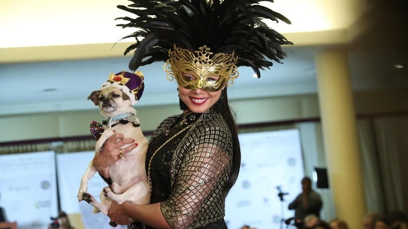 Peragaan busana tahunan terbesar untuk hewan peliharaan berlangsung dalam acara Pet Fashion Show ke-16 di New York
