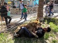 Bermain dengan Singa 'Cakar Buntung' di Gaza