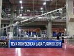 Teva Proyeksikan Laba Turun Pada 2019
