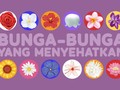 INFOGRAFIS: Bunga-bunga yang Menyehatkan
