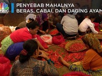Ini Loh yang Bikin Mahal Beras, Cabai, dan Daging Ayam