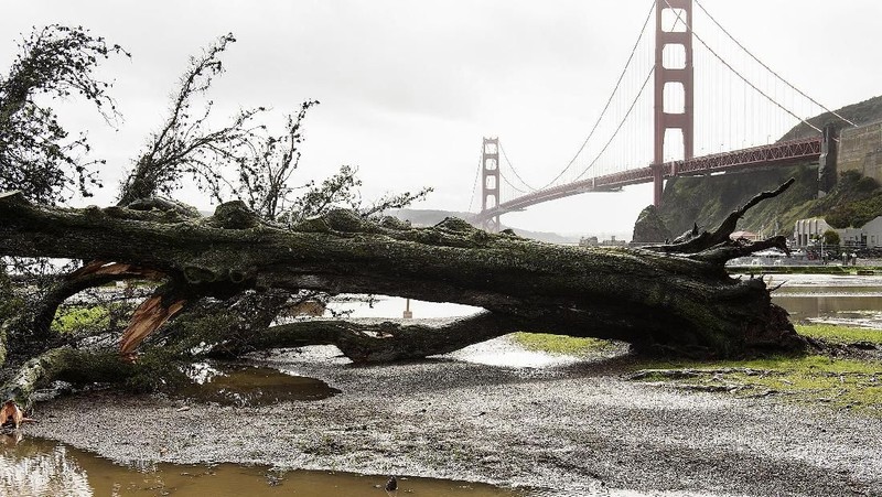 Banjir dan tanah longsor menerjang kawasan California, Amerika Serikat kamis (14/02/19) waktu setempat.