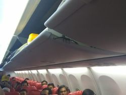 7 Hewan Berbahaya yang Muncul di Pesawat Selain Kalajengking Lion Air 7 Hewan Berbahaya yang Muncul di Pesawat Selain Kalajengking Lion Air