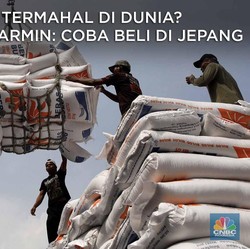 Harga Beras RI Termahal di Dunia? Coba Cek di Jepang!