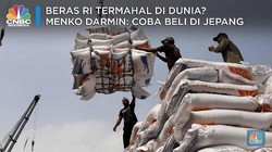 Harga Beras RI Termahal di Dunia? Coba Cek di Jepang!