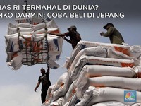 Harga Beras RI Termahal di Dunia? Coba Cek di Jepang!