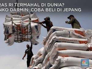 Harga Beras RI Termahal di Dunia? Coba Cek di Jepang!