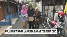 Puluhan Warga Jakarta Barat Terkena DBD