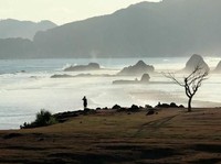 Bantu Fleksibilitas Keuangan, Traveloka Tawarkan PayLater