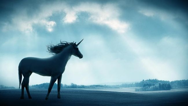 45 Gambar  Unicorn  Yang Sebenar Terlengkap Top Koleksi 