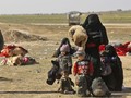 Kejiwaan Ribuan Anak Pengikut ISIS Diperkirakan Terganggu