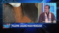 Soal Impor Jagung, Benarkah Klaim Jokowi?