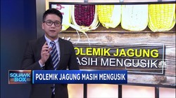 Mengulik Polemik Impor Jagung