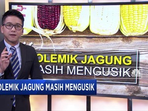 Mengulik Polemik Impor Jagung