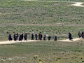 Anggota ISIS di Suriah Kabur Sampai Vonis Separatis Catalonia