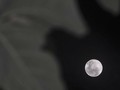 NASA Ungkap Rencana Kirim Astronaut ke Bulan pada 2024