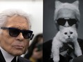 Choupette, Kucing 'Artis' Kesayangan Karl Lagerfeld
