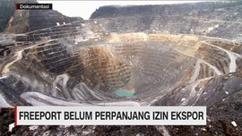 Freeport Belum Perpanjang Izin Ekspor