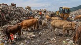 Sejumlah pemulung mencari barang bekas di Tempat Pembuangan Akhir (TPA), kawasan Air Dingin, Padang, Sumatera Barat, Senin (14/1). Sampah yang masuk ke TPA Air Dingin mencapai 500 ton per hari dan diprediksi empat sampai lima tahun ke depan kapasitas TPA itu tak mampu lagi menampung sampah. (ANTARA FOTO/Muhammad Arif Pribadi)