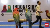 Anggota komunitas Indonesia Parrot Lovers ikut serta dalam Jakarta Indonesia Pet Show (JIPS) 2019, Jumat (22/2). (CNN Indonesia/Adhi Wicaksono)
