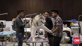 Dalam acara ini, Dinas Ketahanan Pangan, Kelautan dan Pertanian (DKPP) DKI bersama JIPS dan PT Zoetis Animal Health Indonesia akan menyediakan vaksin rabies gratis sebanyak 200 vial. (CNN Indonesia/Adhi Wicaksono)