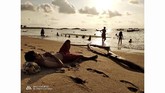 Fotografer: Albertus Adi Setyo. Lokasi: Pantai Kuta.