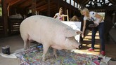 Beruntung, aktivis sekaligus penggagas Farm Sanctuary di dekat Cape Town, Afrika Selatan, menemukan dan menyelamatkannya. (REUTERS/Sumaya Hisham)