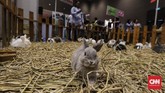 Pameran ini mengangkat tema