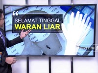 Selamat Tinggal Waran Liar
