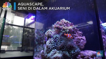 Aquascape, Seni di Akuarium yang Bisa Terjual Miliaran Rupiah