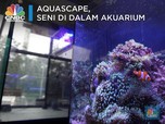 Aquascape, Seni di Akuarium yang Bisa Terjual Miliaran Rupiah