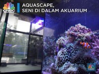 Aquascape, Seni di Akuarium yang Bisa Terjual Miliaran Rupiah