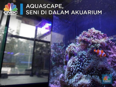 Yuk Kenali Aquascape Sebuah Seni Dekorasi Dalam Akuarium