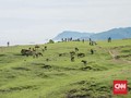 Menyusuri Pantai-pantai 'Kosong' nan Indah di Lombok