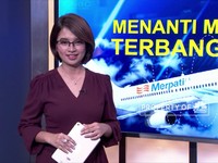 Menanti Merpati Terbang Lagi