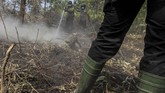 Wilayah terparah adalah Kabupaten Bengkalis dengan area yang terbakar mencapai 817 hektare. ANTARA FOTO/Rony Muharrman