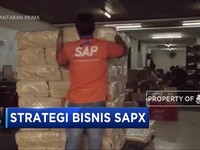Strategi Bisnis SAPX