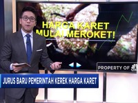 Jurus Baru Kerek Harga Karet