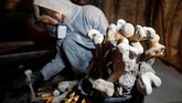Tulang-belulang ini berasal dari kuburan yang lokasinya berdekatan dengan sebuah biara yang didirikan oleh ordo Cistercian pada tahun 1142. (REUTERS/David W Cerny)