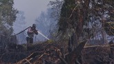 Selanjutnya Rokan Hilir tercatat 132 hektare, Dumai 60 hektare, Indragiri Hilir 38 hektare, Siak 30 hektare, Kampar 15 hektare, Pekanbaru 21,01 hektare dan Meranti 20,4 hektare. ANTARA FOTO/FB Anggoro