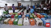 Ada 130 kucing jantan piaraan milik warga mendapat giliran sterilisasi secara gratis dengan cara mendaftar langsung. CNNIndonesia/Safir Makki