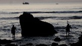 Dua orang Rato memanggil nyale di pesisir laut di desa Hupumada dan Taramanu Kecamatan Wannokaka, Kabupaen Sumba Barat, NTT, Selasa (26/2). (ANTARA FOTO/Kornelis Kaha)